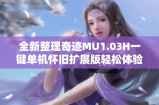 全新整理奇迹MU1.03H一键单机怀旧扩展版轻松体验