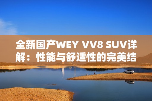 全新国产WEY VV8 SUV详解：性能与舒适性的完美结合