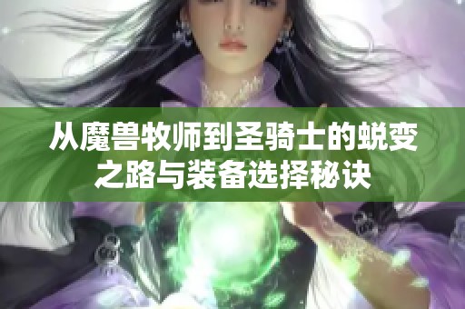 从魔兽牧师到圣骑士的蜕变之路与装备选择秘诀