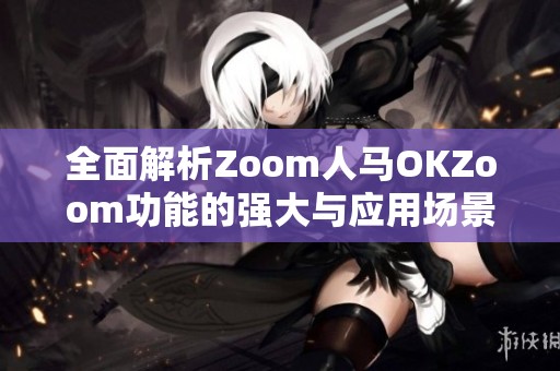 全面解析Zoom人马OKZoom功能的强大与应用场景