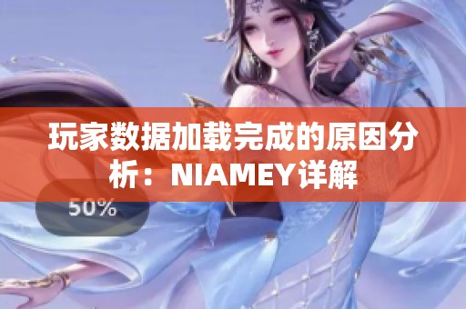 玩家数据加载完成的原因分析：NIAMEY详解