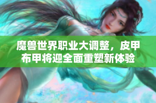 魔兽世界职业大调整，皮甲布甲将迎全面重塑新体验