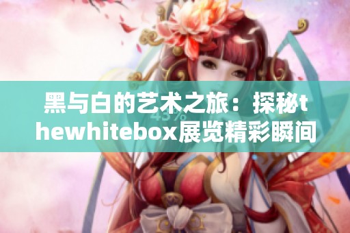 黑与白的艺术之旅：探秘thewhitebox展览精彩瞬间