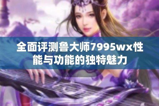 全面评测鲁大师7995wx性能与功能的独特魅力