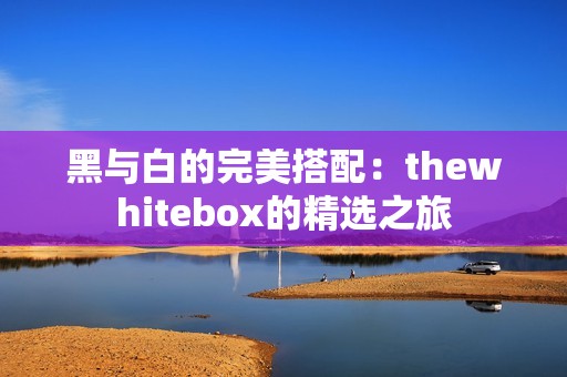 黑与白的完美搭配：thewhitebox的精选之旅