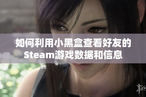 如何利用小黑盒查看好友的Steam游戏数据和信息