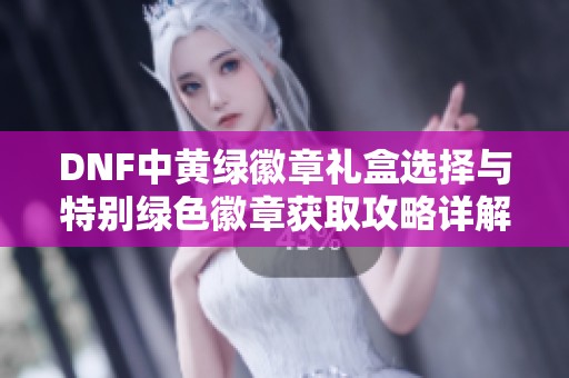 DNF中黄绿徽章礼盒选择与特别绿色徽章获取攻略详解