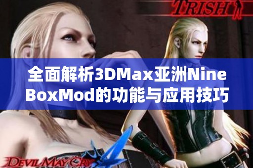 全面解析3DMax亚洲NineBoxMod的功能与应用技巧