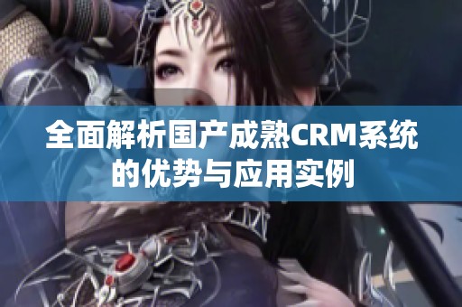 全面解析国产成熟CRM系统的优势与应用实例