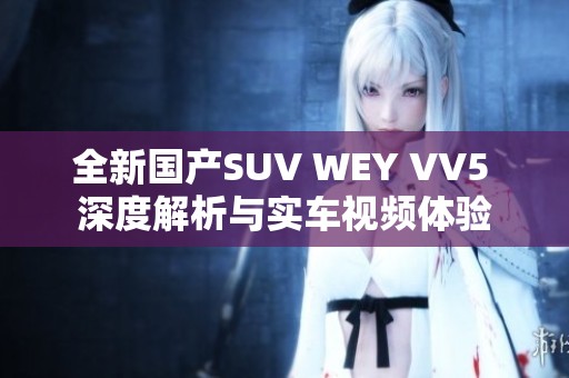 全新国产SUV WEY VV5 深度解析与实车视频体验