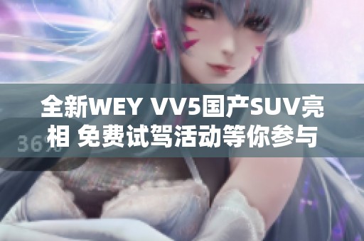 全新WEY VV5国产SUV亮相 免费试驾活动等你参与