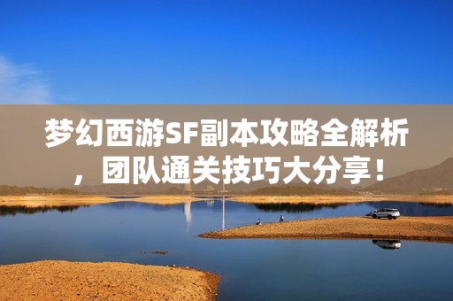 梦幻西游SF副本攻略全解析，团队通关技巧大分享！