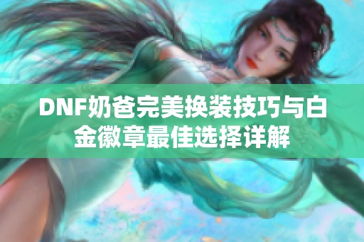 DNF奶爸完美换装技巧与白金徽章最佳选择详解