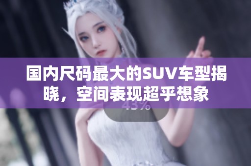 国内尺码最大的SUV车型揭晓，空间表现超乎想象