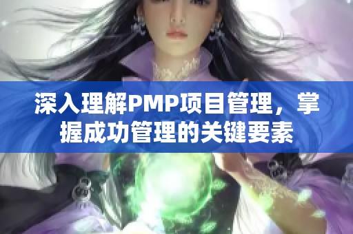 深入理解PMP项目管理，掌握成功管理的关键要素