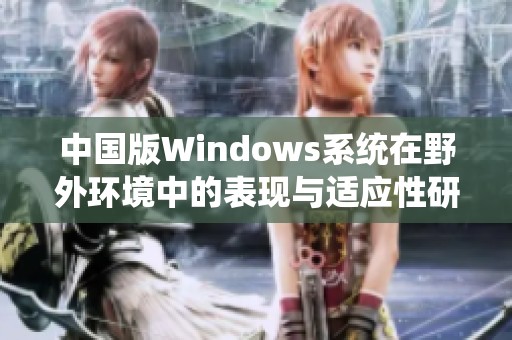 中国版Windows系统在野外环境中的表现与适应性研究