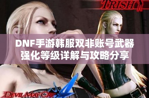 DNF手游韩服双非账号武器强化等级详解与攻略分享