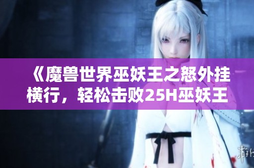 《魔兽世界巫妖王之怒外挂横行，轻松击败25H巫妖王》