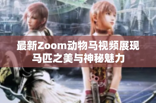 最新Zoom动物马视频展现马匹之美与神秘魅力