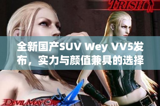 全新国产SUV Wey VV5发布，实力与颜值兼具的选择