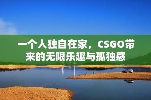 一个人独自在家，CSGO带来的无限乐趣与孤独感