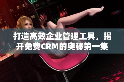 打造高效企业管理工具，揭开免费CRM的奥秘第一集