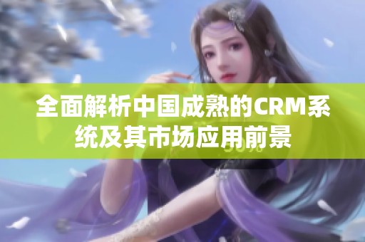 全面解析中国成熟的CRM系统及其市场应用前景